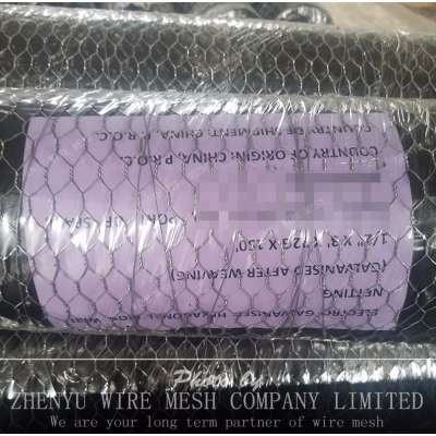 Galvanized and PVC CoatedHexagonal Wire Netting