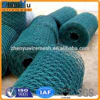 Anping China lowest price chicken wire mesh for philippines