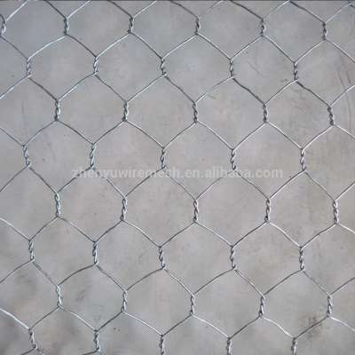 easy install hexagonal hole shape bird cage wire mesh made in china